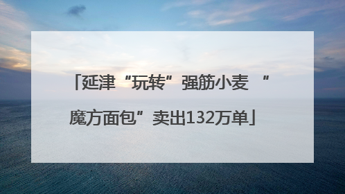 延津“玩转”强筋小麦 “魔方面包”卖出132万单