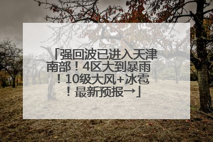 强回波已进入天津南部！4区大到暴雨！10级大风+冰雹！最新预报→