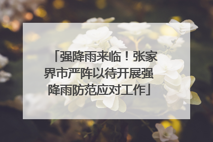 强降雨来临！张家界市严阵以待开展强降雨防范应对工作