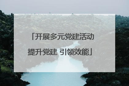 开展多元党建活动 提升党建 引领效能