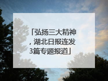 弘扬三大精神，湖北日报连发3篇专题报道