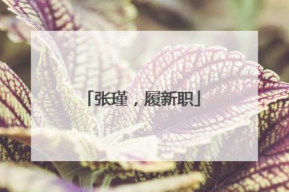 张瑾，履新职