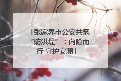 张家界市公安共筑“防洪堤”：向险而行 守护安澜