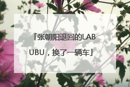 张朝阳退回的LABUBU，换了一辆车