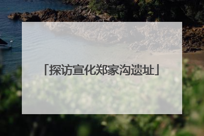 探访宣化郑家沟遗址