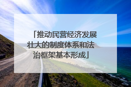 推动民营经济发展壮大的制度体系和法治框架基本形成