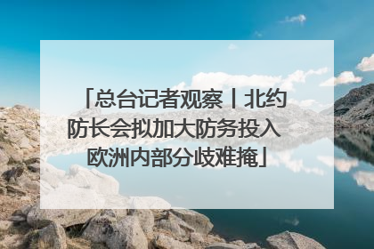 总台记者观察丨北约防长会拟加大防务投入 欧洲内部分歧难掩