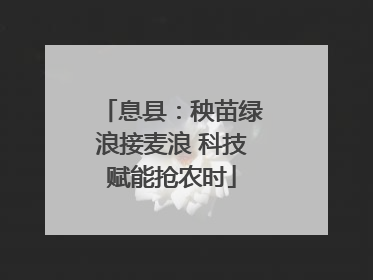 息县：秧苗绿浪接麦浪 科技赋能抢农时