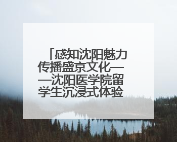 感知沈阳魅力传播盛京文化——沈阳医学院留学生沉浸式体验沈阳文旅特色