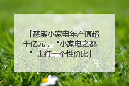 慈溪小家电年产值超千亿元，“小家电之都”主打一个性价比