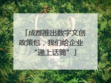 成都推出数字文创政策包，我们给企业“递上话筒”