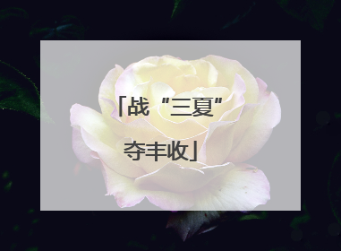 战“三夏” 夺丰收
