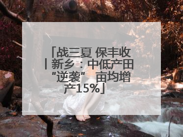 战三夏 保丰收丨新乡：中低产田“逆袭” 亩均增产15%