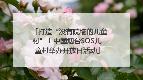 打造“没有院墙的儿童村”！中国烟台SOS儿童村举办开放日活动