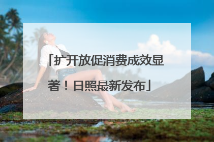 扩开放促消费成效显著！日照最新发布