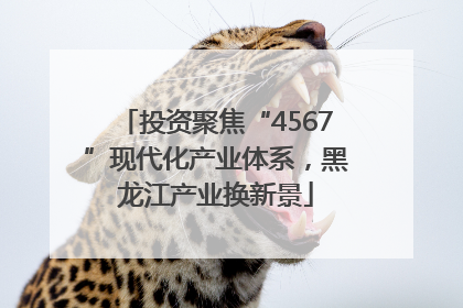 投资聚焦“4567”现代化产业体系，黑龙江产业换新景