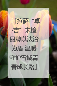 拉萨“卓·吉”未检品牌以法治为盾 温暖守护雪域青春成长路