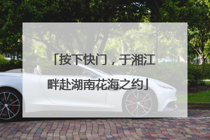 按下快门，于湘江畔赴湖南花海之约