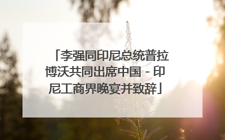李强同印尼总统普拉博沃共同出席中国－印尼工商界晚宴并致辞