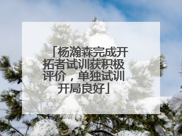 杨瀚森完成开拓者试训获积极评价，单独试训开局良好