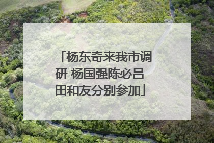 杨东奇来我市调研 杨国强陈必昌田和友分别参加