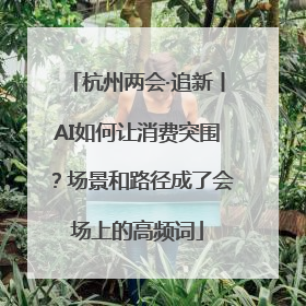 杭州两会·追新丨AI如何让消费突围？场景和路径成了会场上的高频词