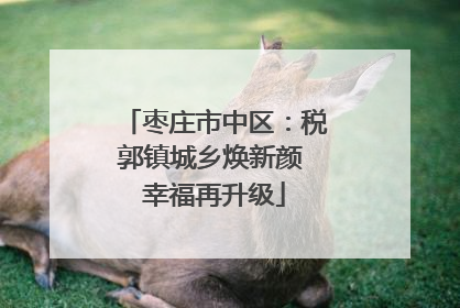 枣庄市中区：税郭镇城乡焕新颜 幸福再升级