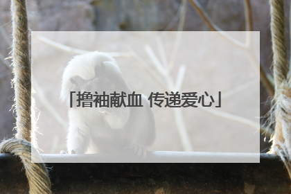 撸袖献血 传递爱心