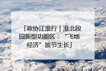 政协江淮行｜淮北段园新型功能区：“飞地经济”拔节生长