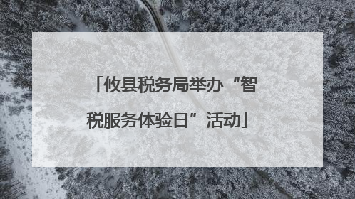 攸县税务局举办“智税服务体验日”活动