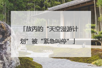 敖丙的“天空漫游计划”被“紧急叫停”