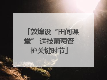 敦煌设“田间课堂” 送技葡萄管护关键时节