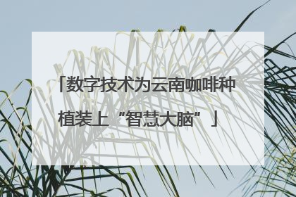 数字技术为云南咖啡种植装上“智慧大脑”