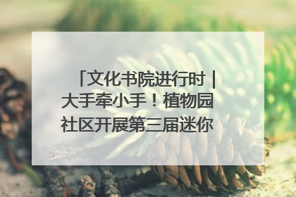 文化书院进行时｜大手牵小手！植物园社区开展第三届迷你马拉松活动