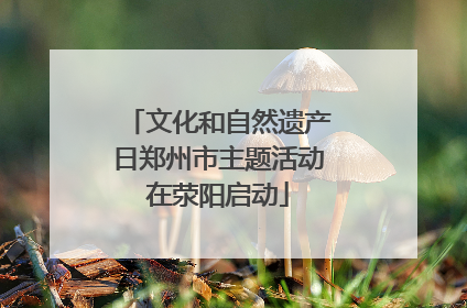 文化和自然遗产日郑州市主题活动在荥阳启动