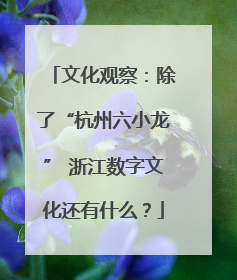文化观察：除了“杭州六小龙” 浙江数字文化还有什么？