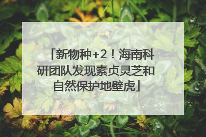 新物种+2！海南科研团队发现素贞灵芝和自然保护地壁虎