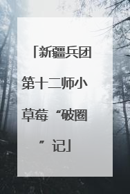 新疆兵团第十二师小草莓“破圈”记