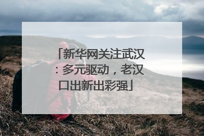 新华网关注武汉：多元驱动，老汉口出新出彩强