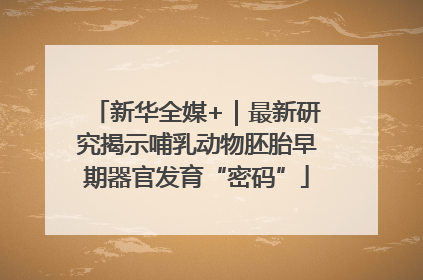 新华全媒+｜最新研究揭示哺乳动物胚胎早期器官发育“密码”