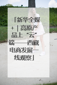 新华全媒+｜高原产品上“云”端——西藏电商发展一线观察