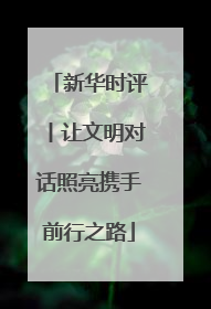 新华时评丨让文明对话照亮携手前行之路