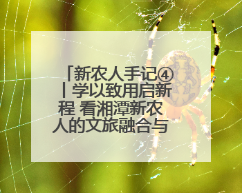 新农人手记④丨学以致用启新程 看湘潭新农人的文旅融合与产业升级之路
