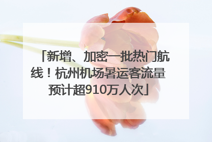 新增、加密一批热门航线！杭州机场暑运客流量预计超910万人次