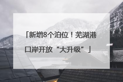 新增8个泊位！芜湖港口岸开放“大升级”