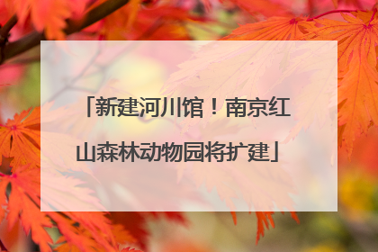 新建河川馆！南京红山森林动物园将扩建