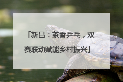 新昌：茶香乒乓，双赛联动赋能乡村振兴