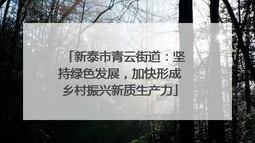 新泰市青云街道：坚持绿色发展，加快形成乡村振兴新质生产力