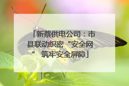新蔡供电公司：市县联动织密“安全网” 筑牢安全屏障