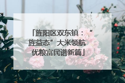 旌阳区双东镇：“旌益态”大米领航 优粮富民谱新篇